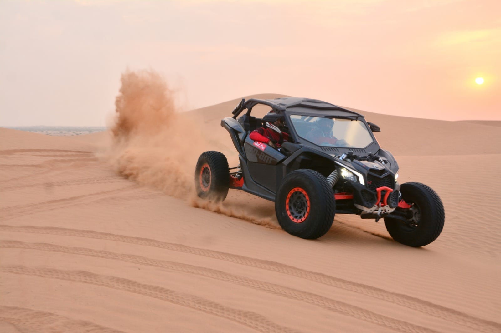Buggy_Image_3